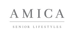 Amica-2019-logo-1024x516